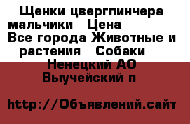 Щенки цвергпинчера мальчики › Цена ­ 25 000 - Все города Животные и растения » Собаки   . Ненецкий АО,Выучейский п.